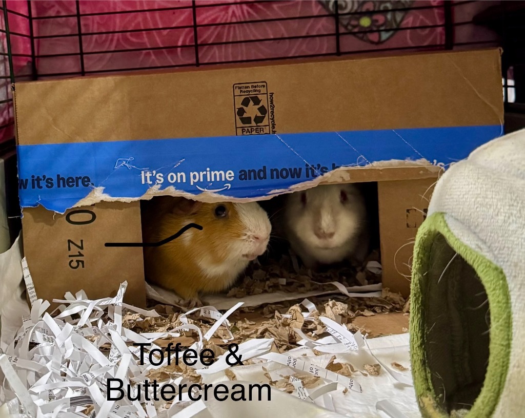 Toffee