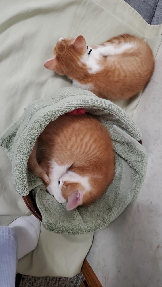 Larry