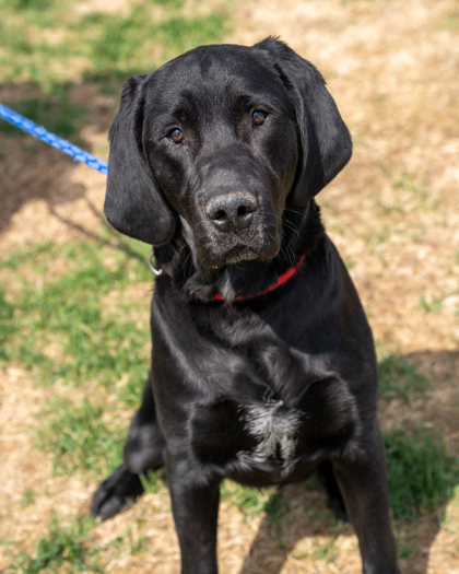Max