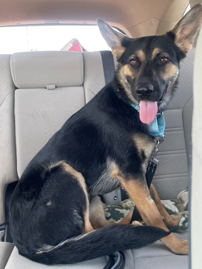 Heidi
