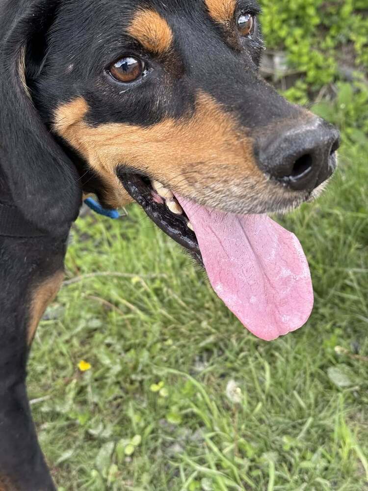 Jake