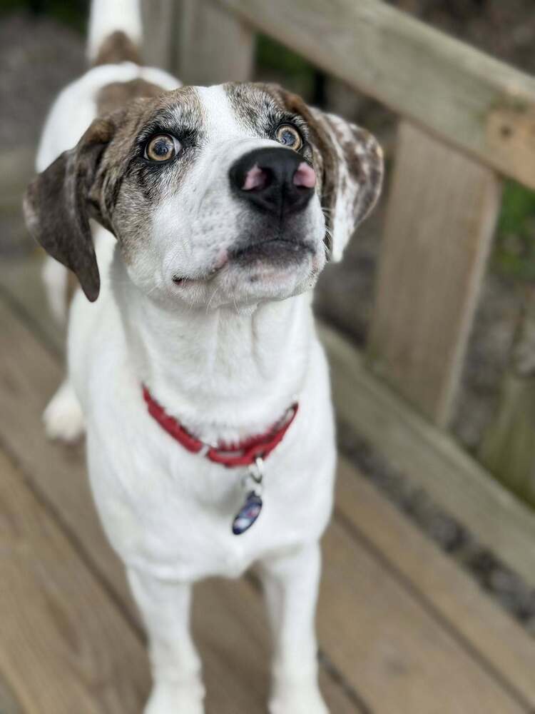 Winnie