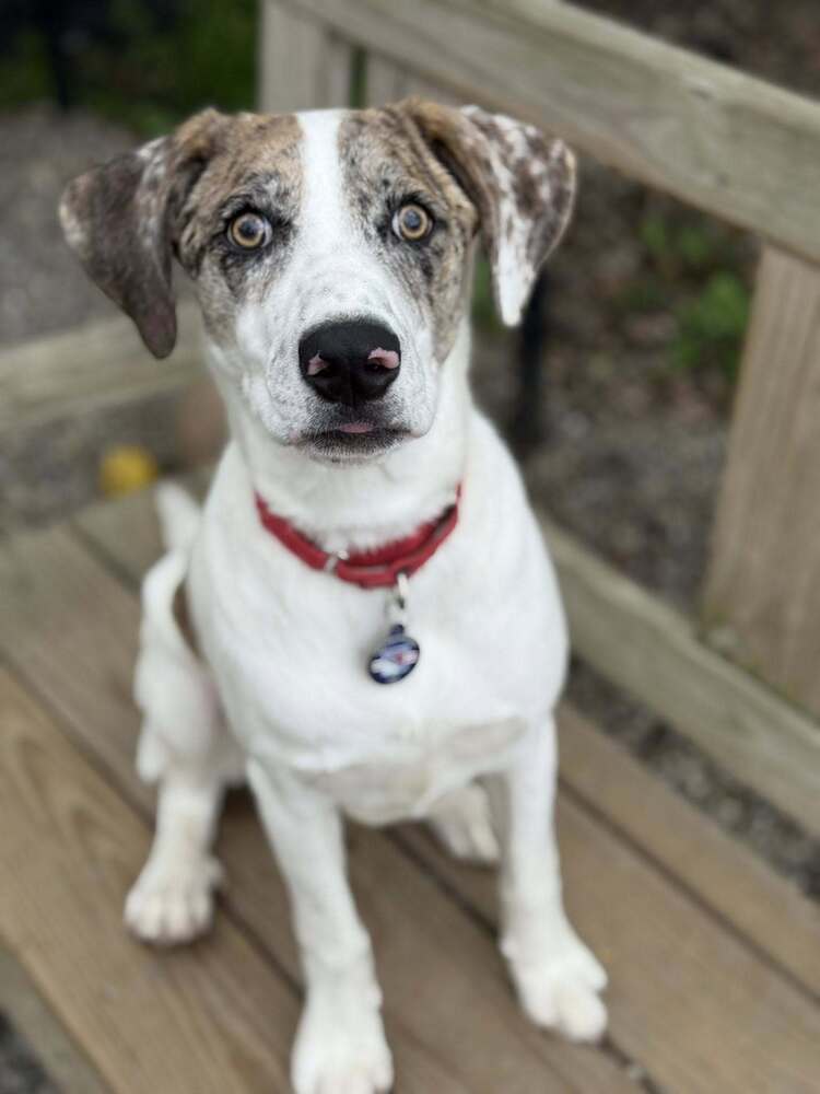 Winnie