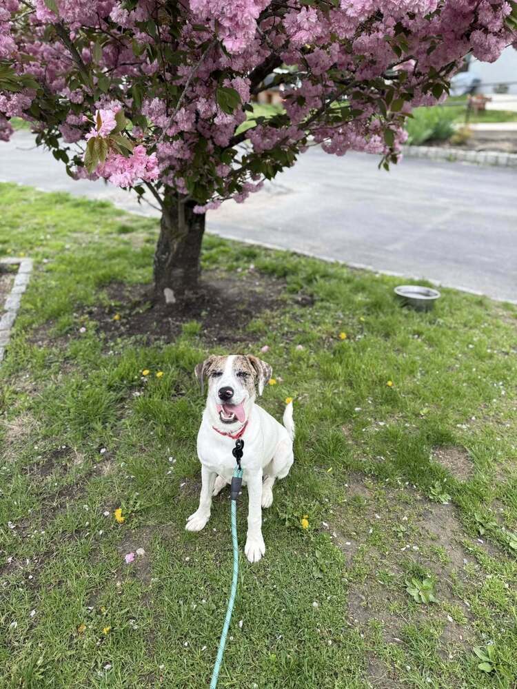 Winnie