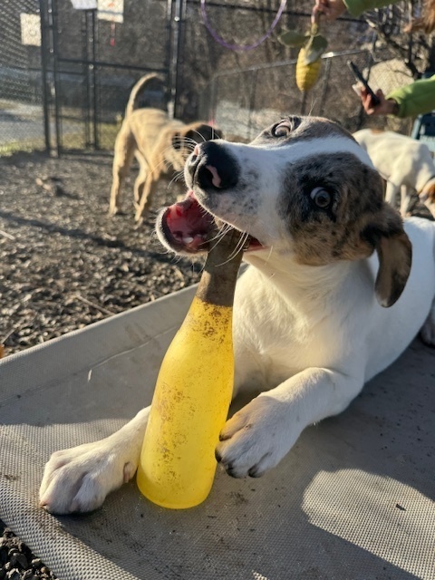 Winnie