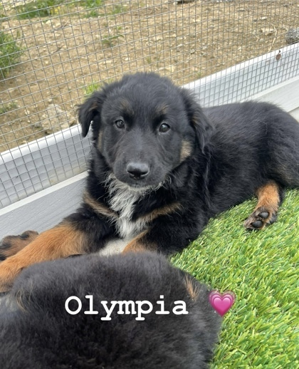 Olympia