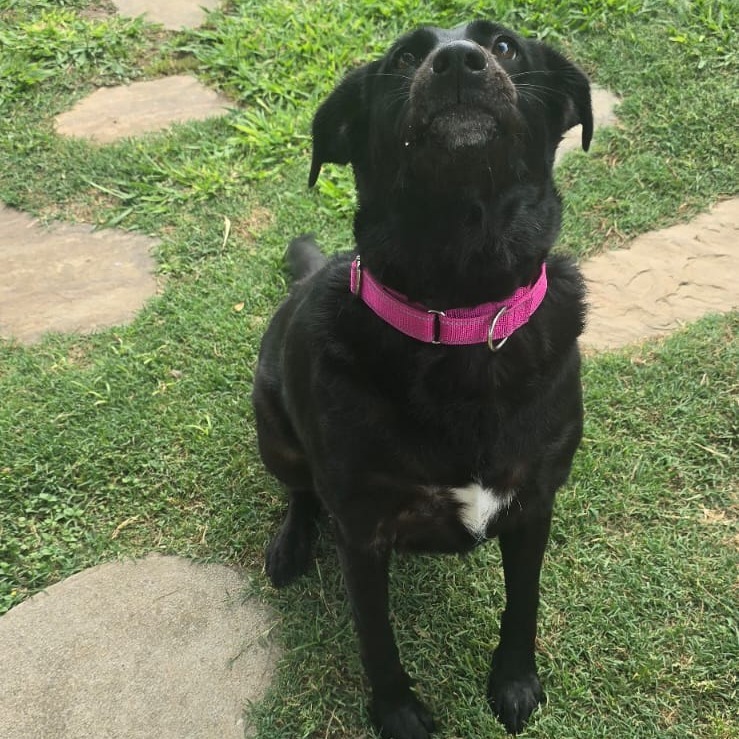Bella