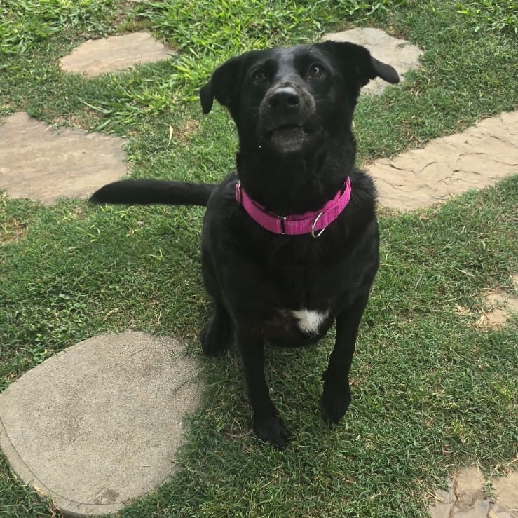 Bella