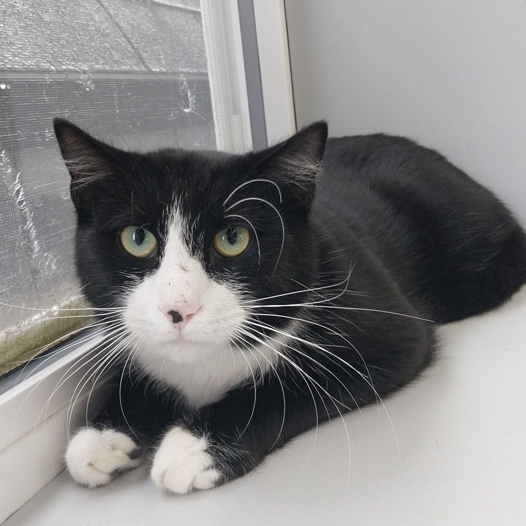 Hami Melon (Horseheads Petsmart)
