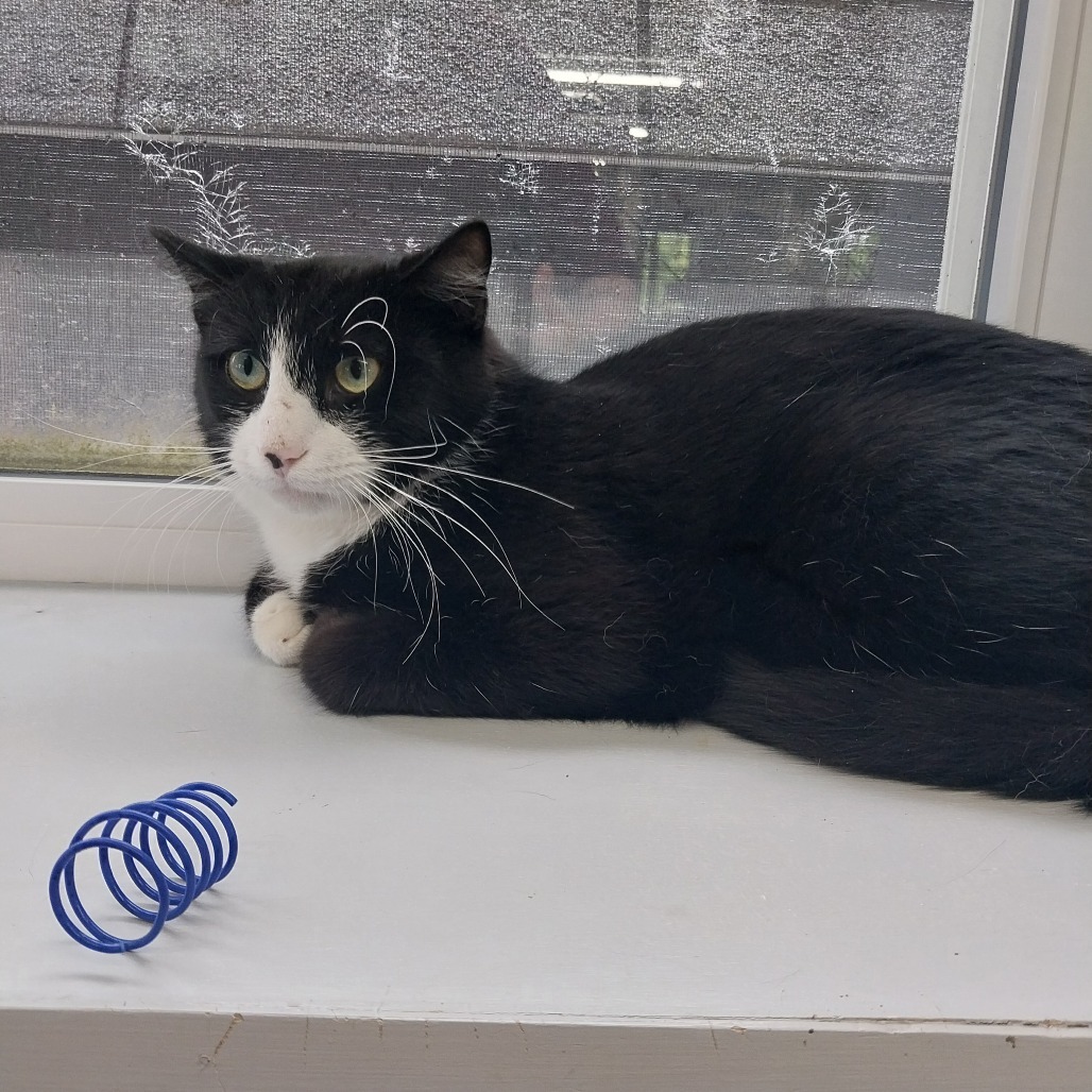 Hami Melon (Horseheads Petsmart)