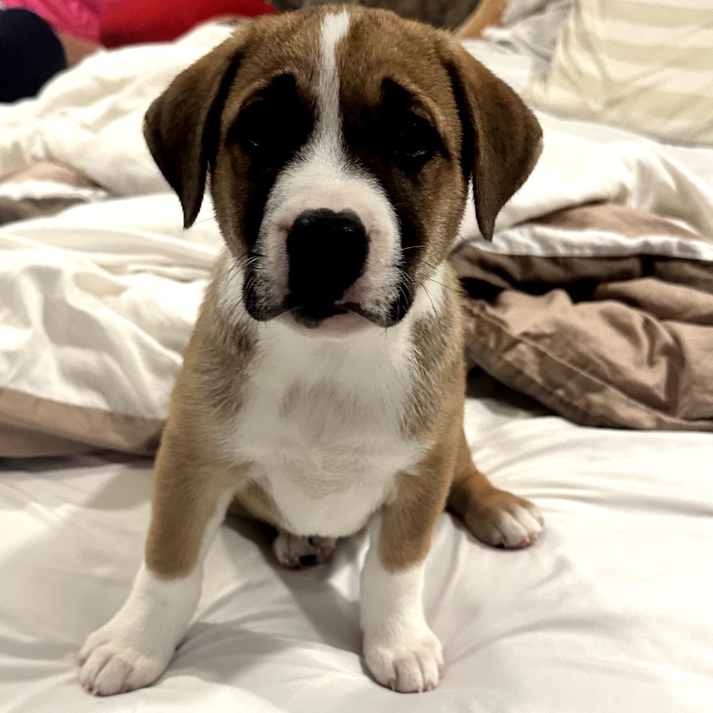 Lucy