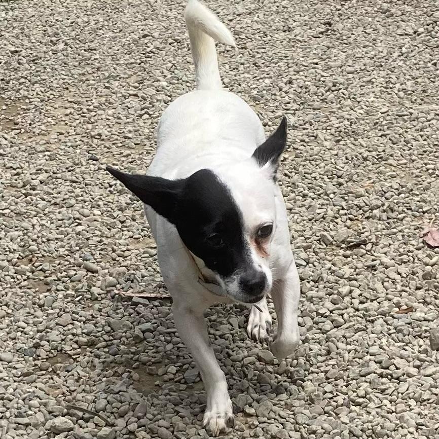 Solange/A1032616