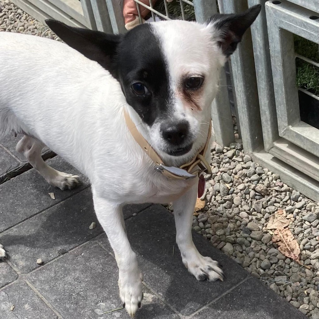 Solange/A1032616