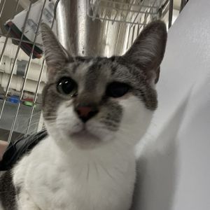 Barbara Gibbs is currently in foster care and ready for adoption To begin the process please submi