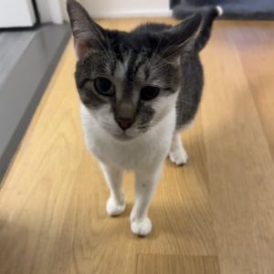 Barbara Gibb is currently in foster care and ready for adoption To begin the process please submit