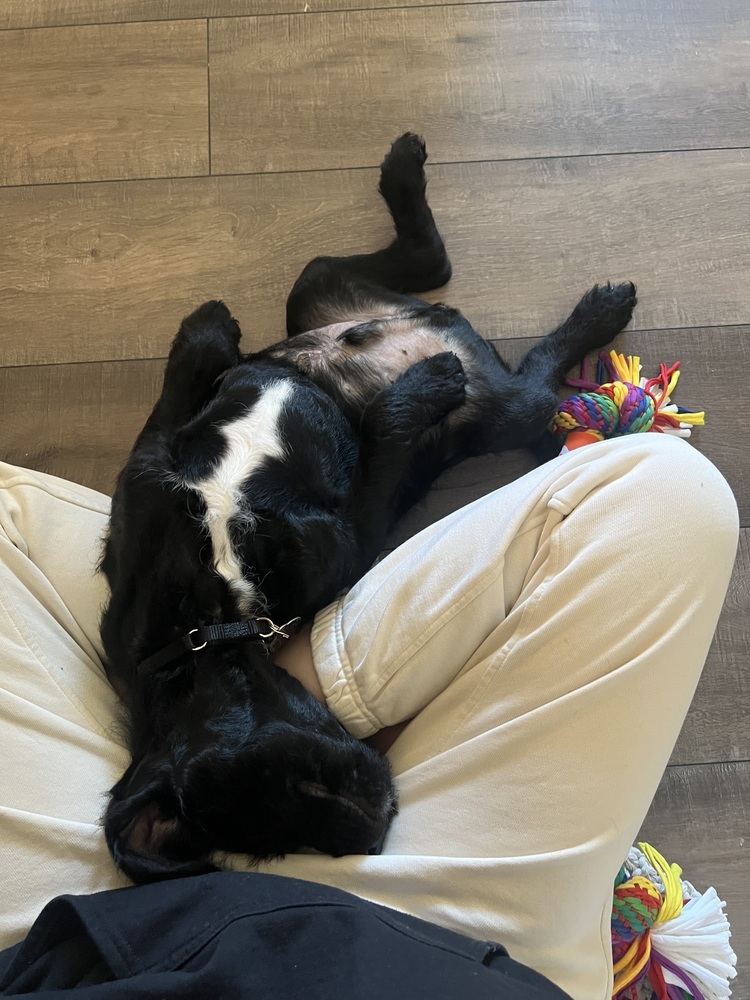 Rigsby Aka Rigby