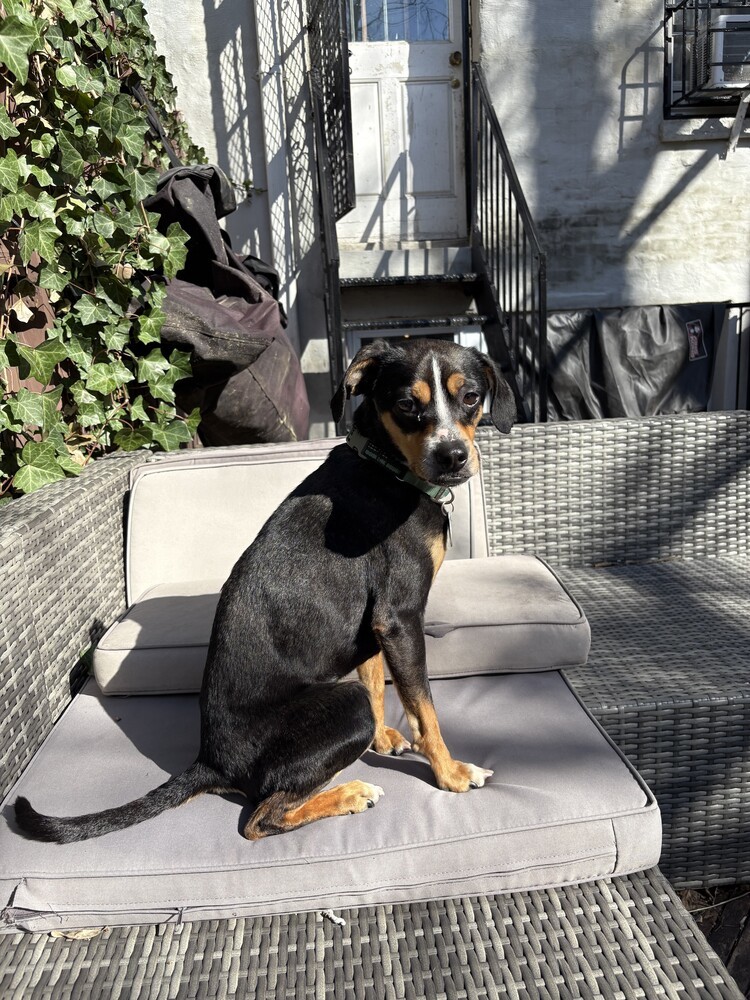 Harvey
