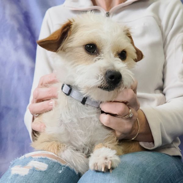 Mary Katebonded To Ashley thumbnail 2