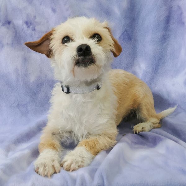 Mary Katebonded To Ashley thumbnail 3