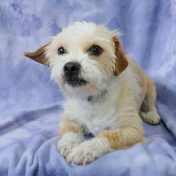 Mary Katebonded To Ashley thumbnail 4