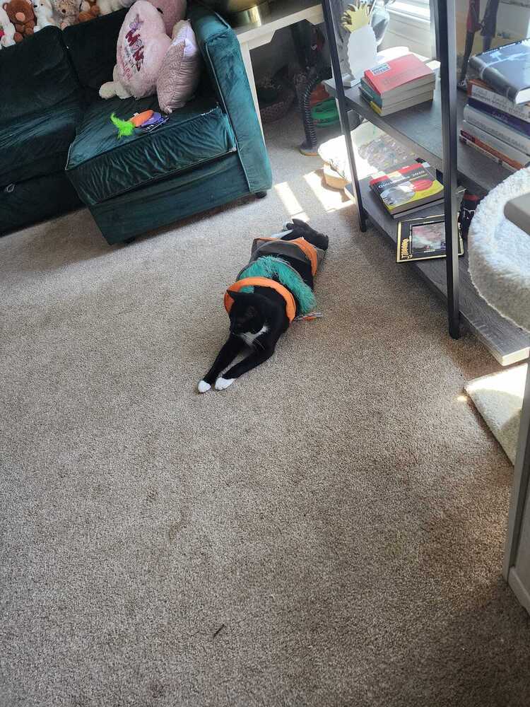 Jasper