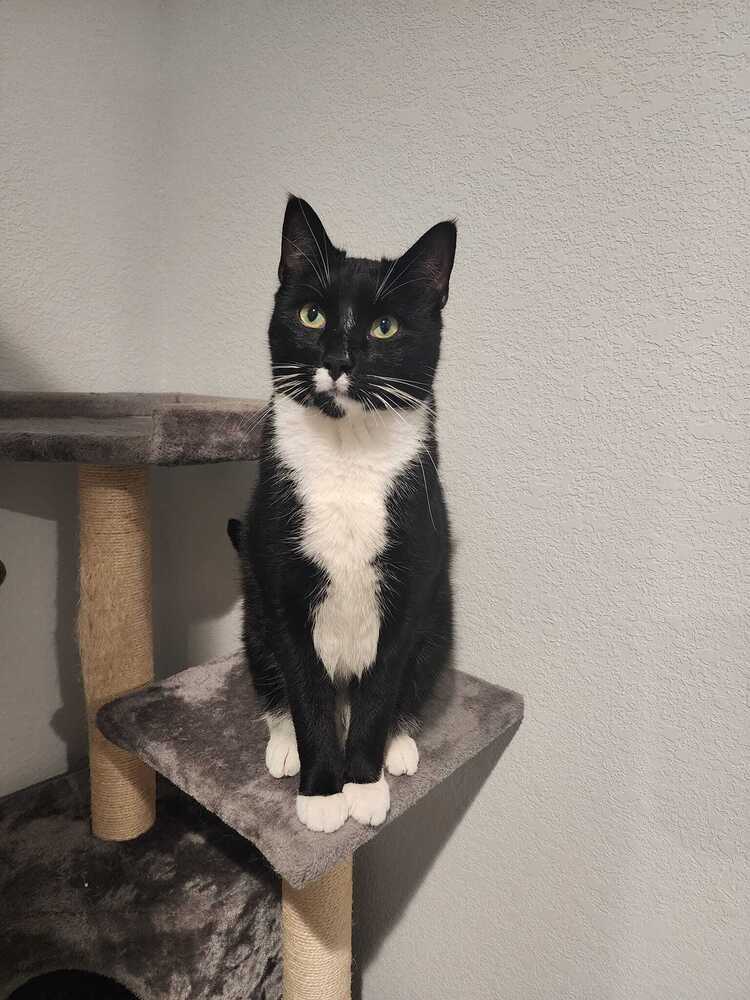 Jasper