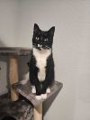 Jasper photo 4