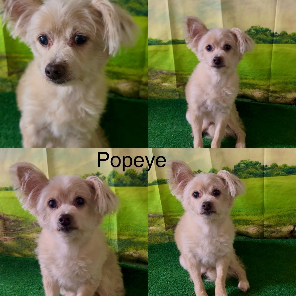 Popeye