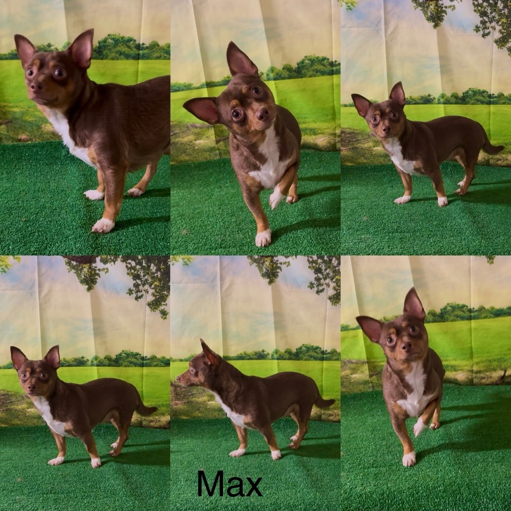 Max