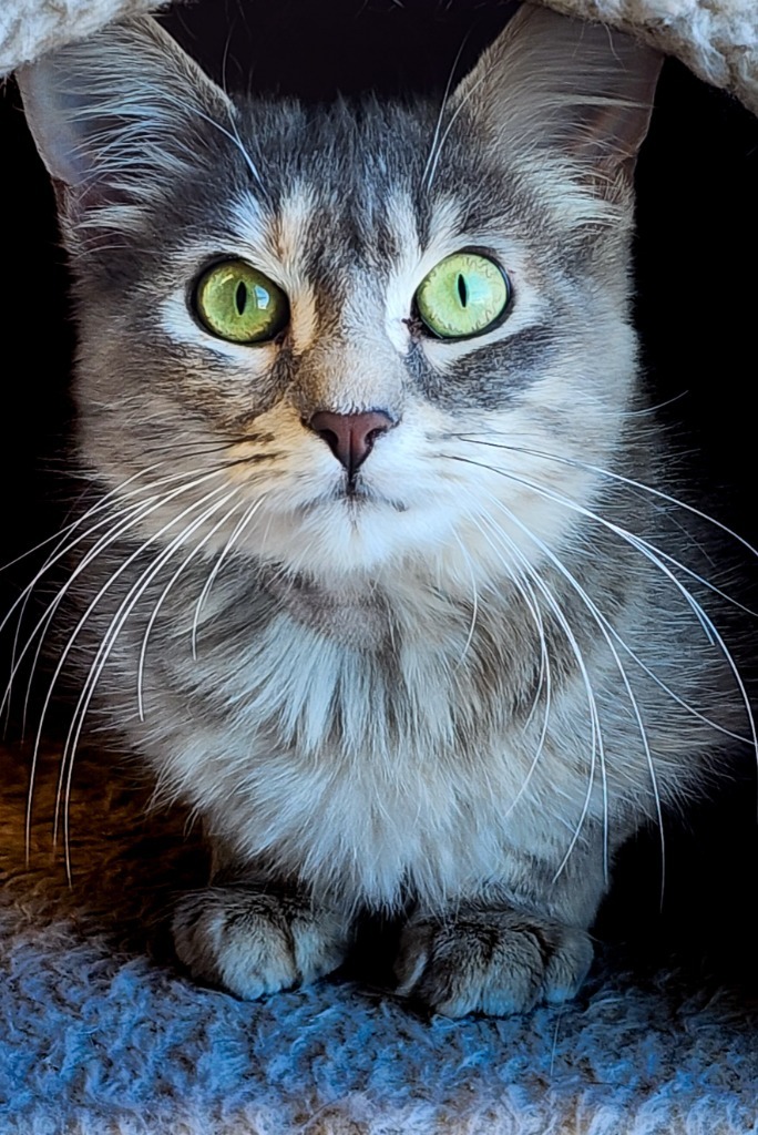 Tinkerbell