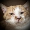 Butters photo 1