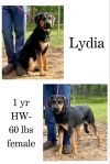 Lydia photo 1