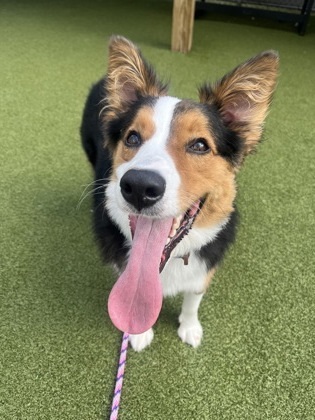 Max