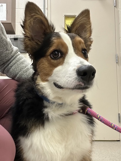 Max