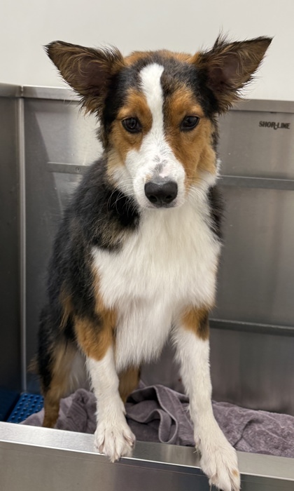 Max