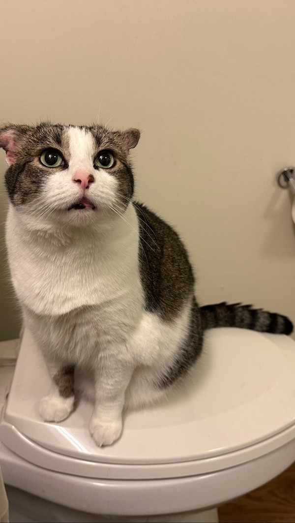 Fiona