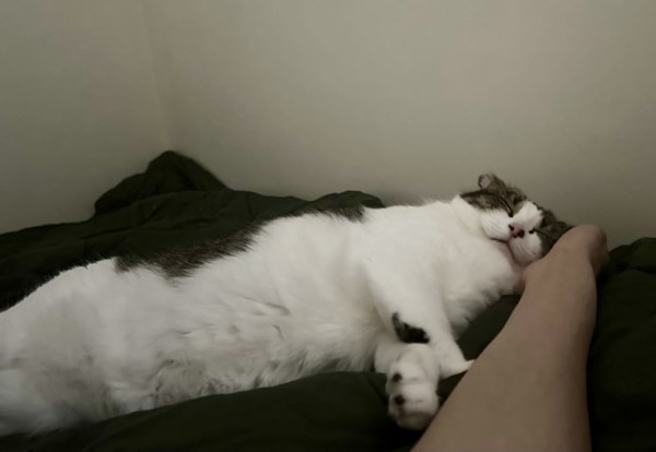 Fiona