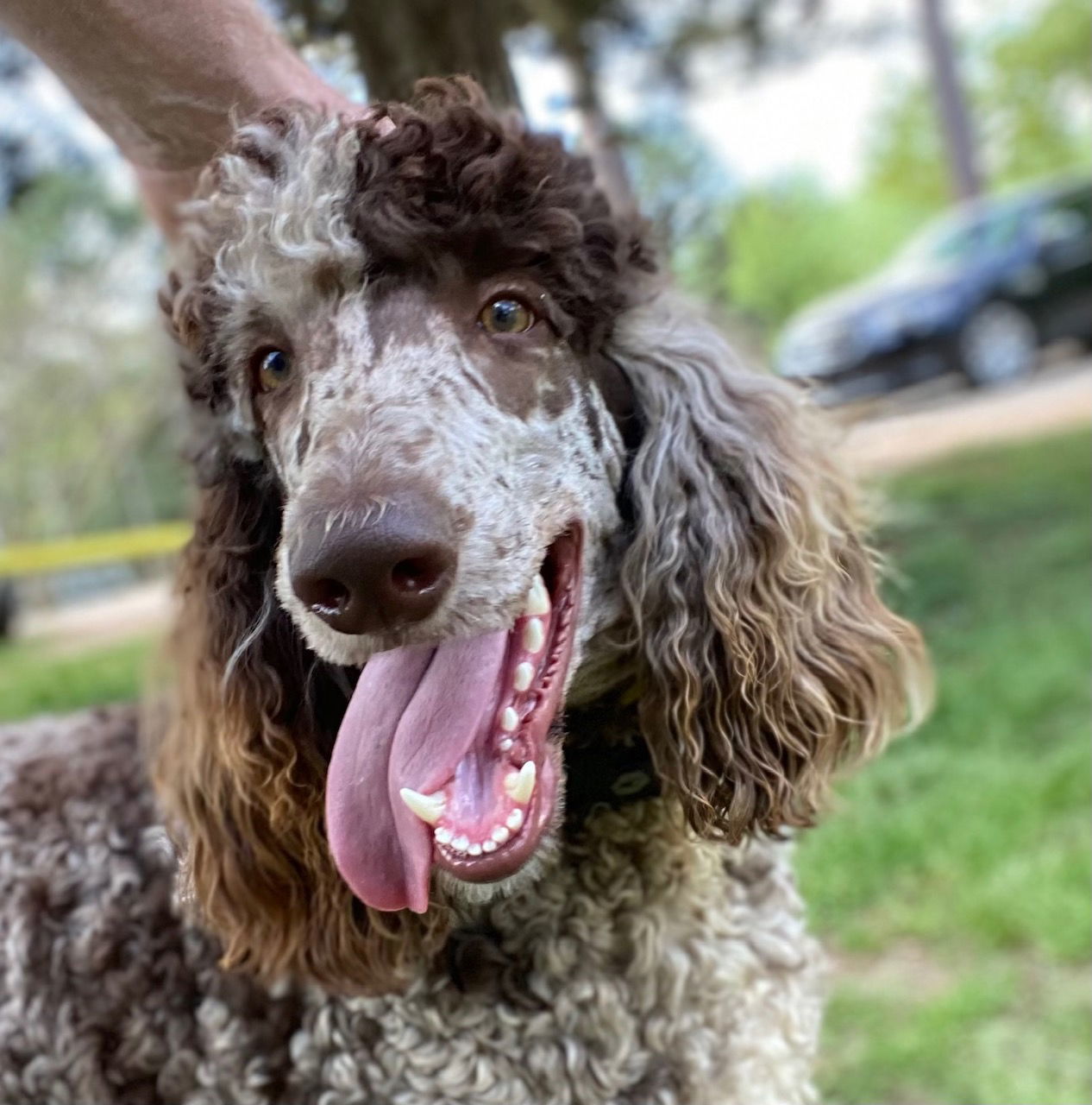 Cullen Apr 25 - reserved for Aimee til 5/14/25