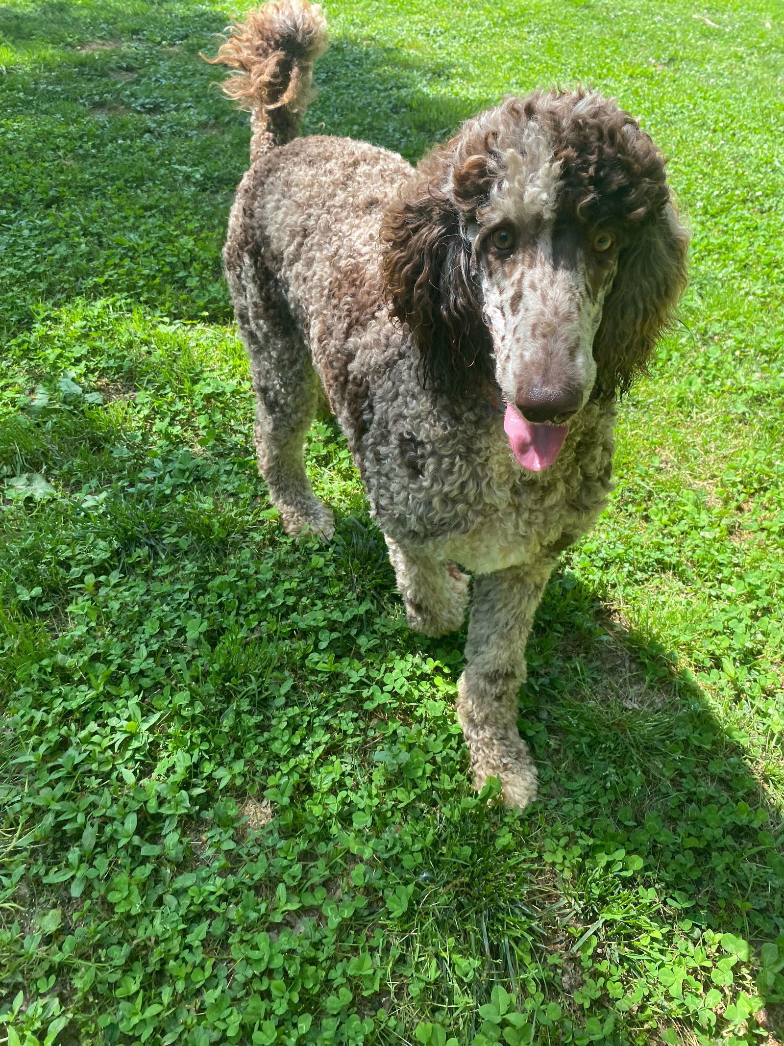 Cullen Apr 25 - reserved for Aimee til 5/14/25