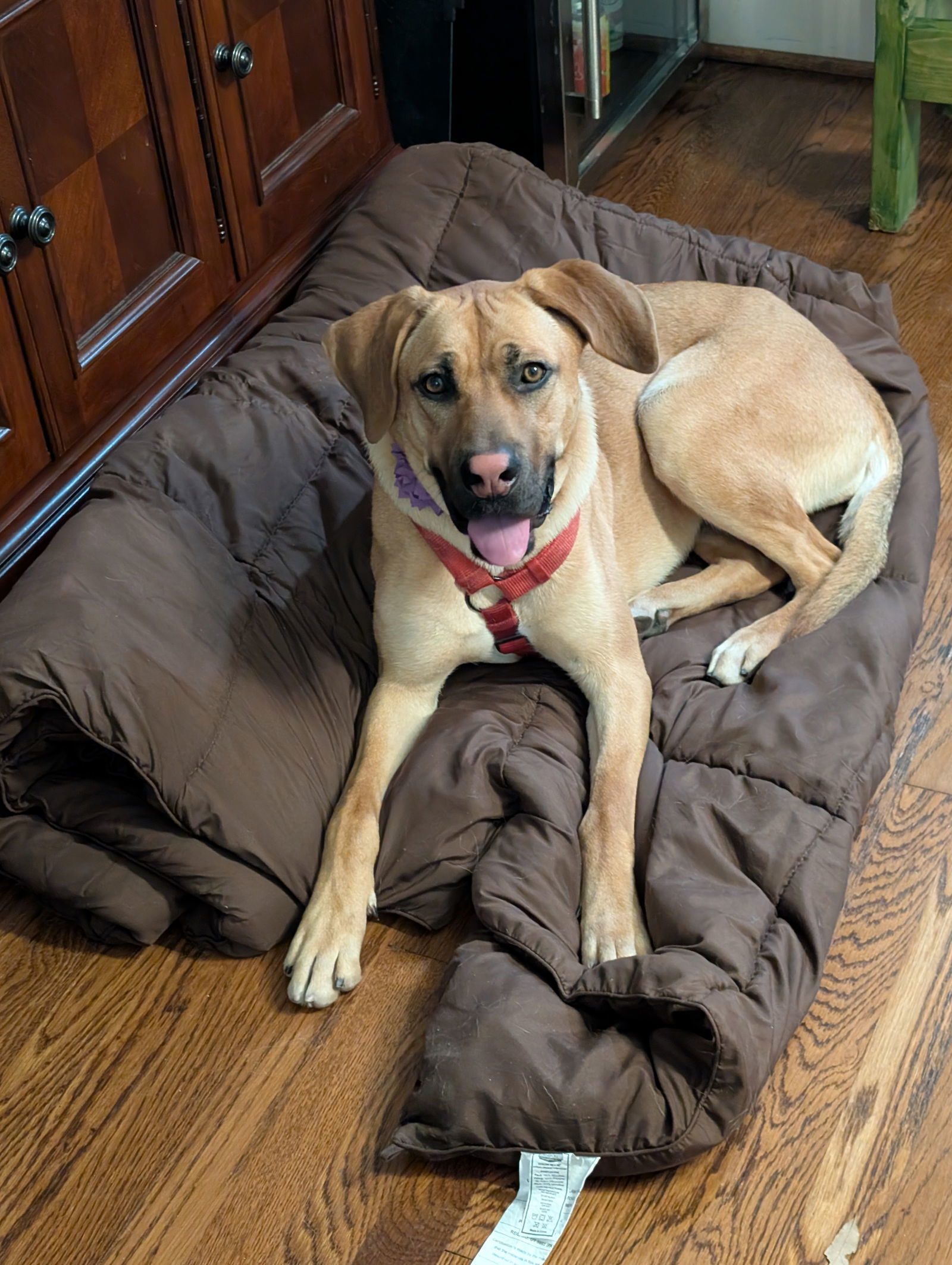 Freya III (New Digs)