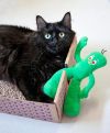 Meow Meow photo 1