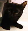 Tootsie photo 2