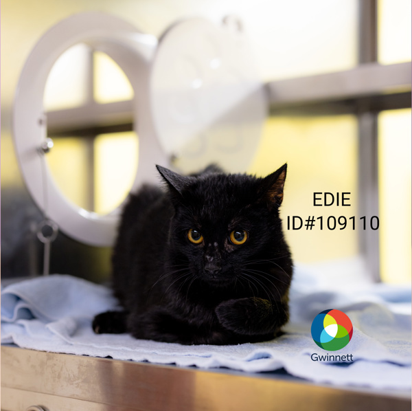 16/17 Edie