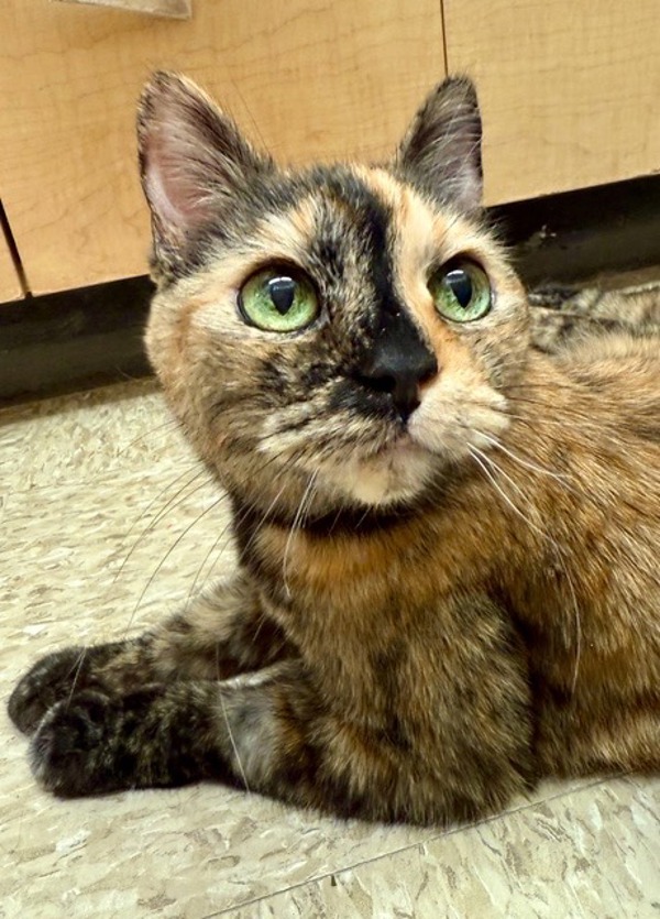 Sandy *Bonded with Sabrina*