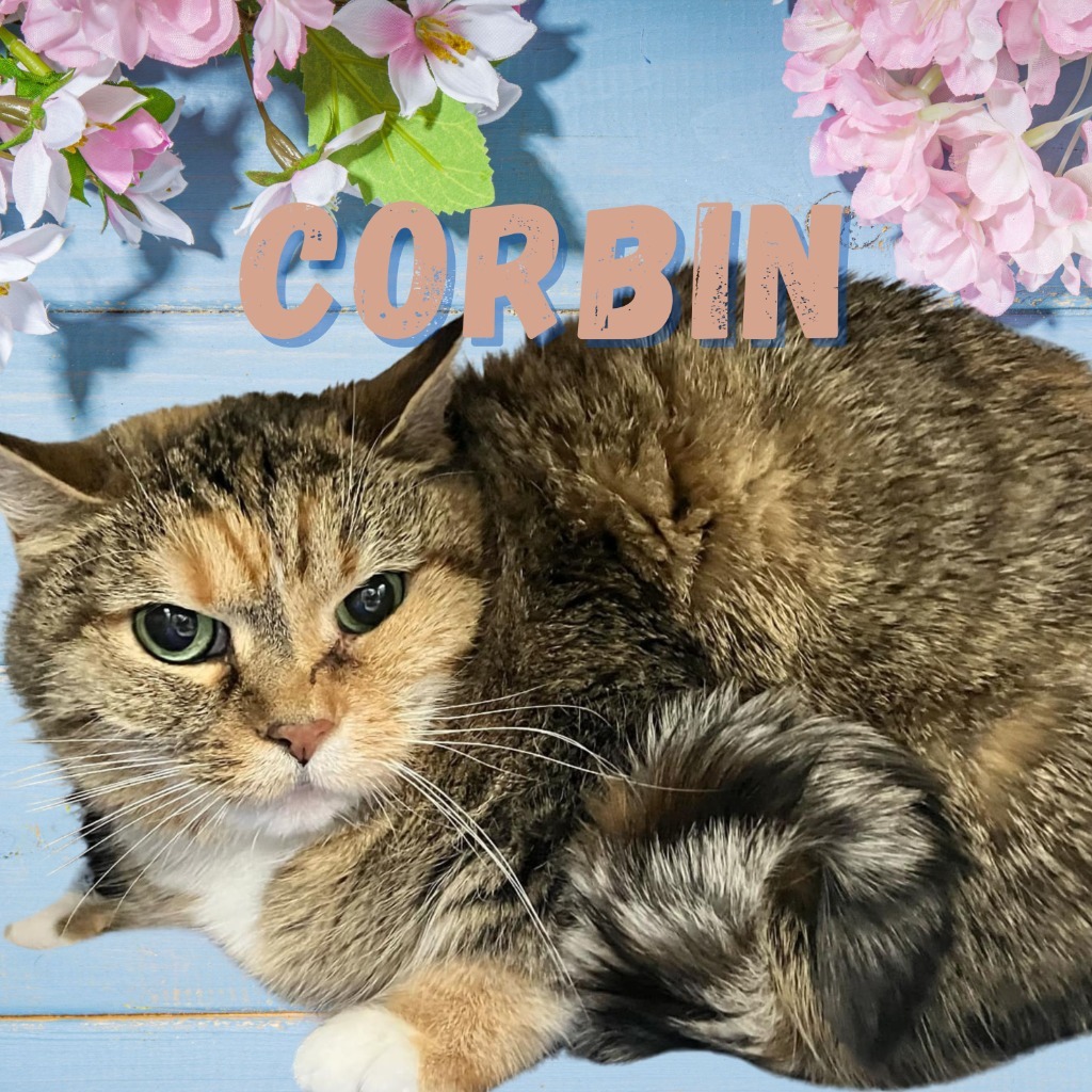 Corbin