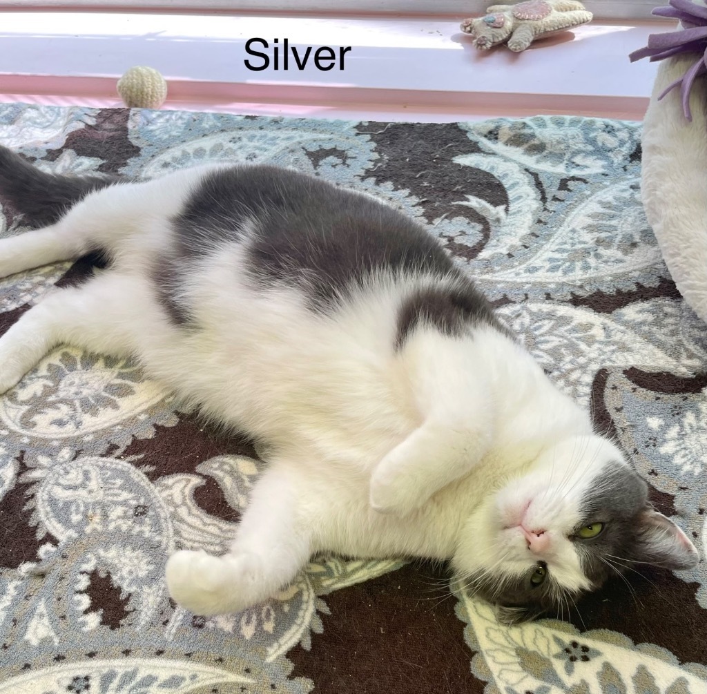 SILVER