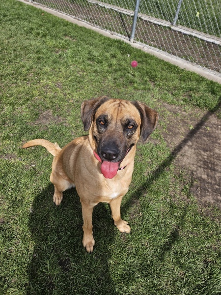 Greta