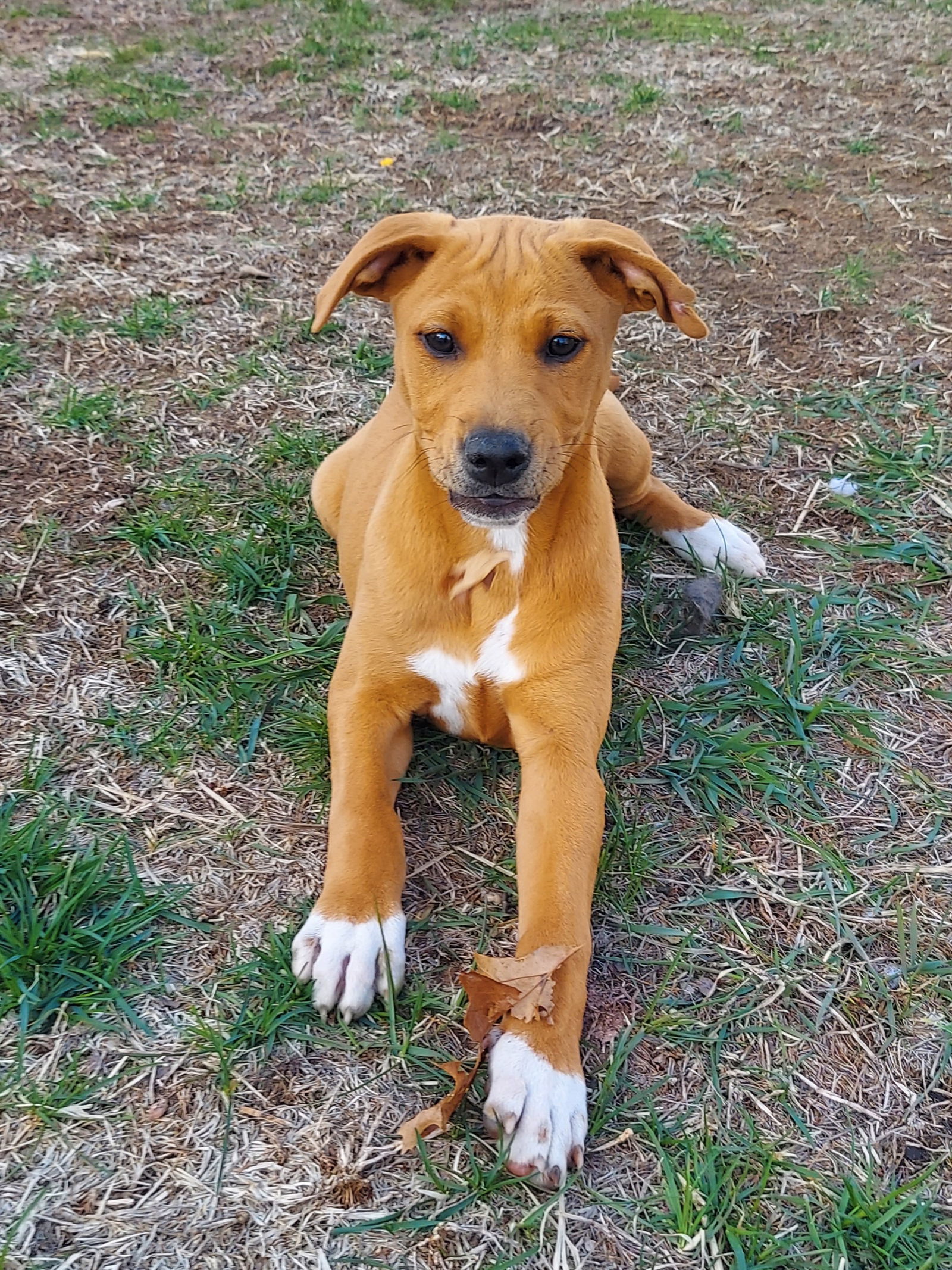 Ruby