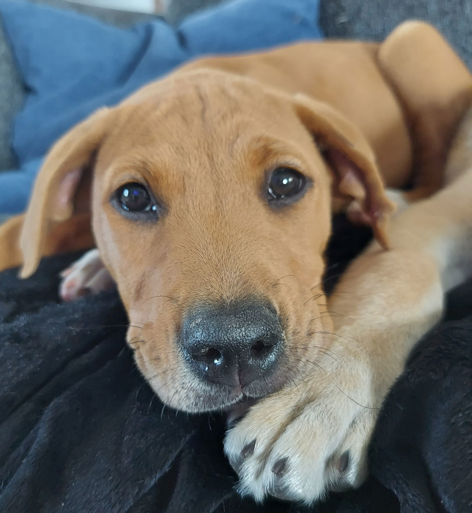 Ruby