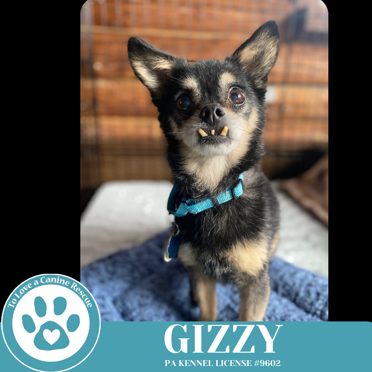 Gizzy 041225